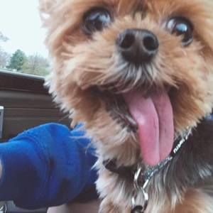 Meet your Posher, Kate